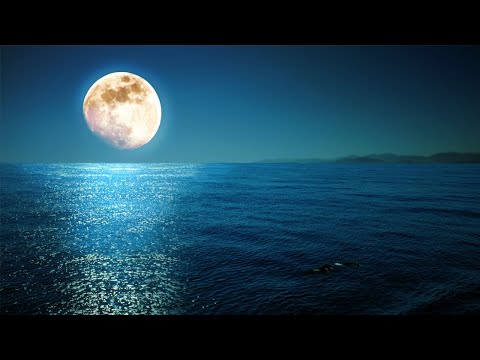 ? Sleep 24/7【100% 無廣告 ,放鬆音樂】深度睡眠,放鬆音樂,治療音樂,舒壓按摩音樂, 睡眠音樂,療癒音樂,鋼琴音樂,波音,鋼琴曲,輕音樂,輕快,BGM,純音樂,钢琴曲,轻音乐