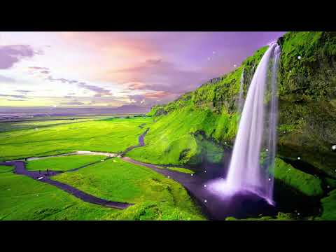 PIANO
  MUSIC – 早上最適合聽的輕音樂 – 美妙的音樂 – 放鬆音樂 – 純鋼琴輕音樂 – 輕鬆的鋼琴音樂 ★ 953