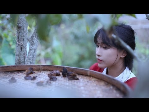 So this video called the life of chilli? chopped chili fish
  head,red oil sheet jelly| Liziqi Channel