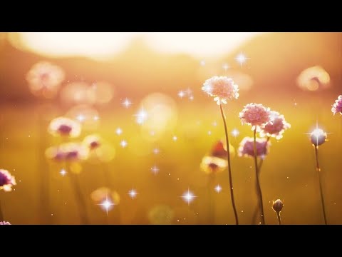 早上最適合聽的輕音樂 – 超好听的钢琴曲 – 放鬆解壓 – 純鋼琴輕音樂 – 鋼琴曲 輕音樂 – 絕美的靜心放鬆音樂 – 放鬆音樂 Relaxing Chinese Piano Music