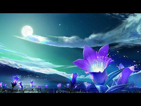 深度睡眠,放鬆音樂,治療音樂,舒壓按摩音樂, 睡眠音樂,療癒音樂,鋼琴音樂,波音,鋼琴曲,輕音樂,輕快,BGM,純音樂,钢琴曲,轻音乐 Sleep Music, Piano Music