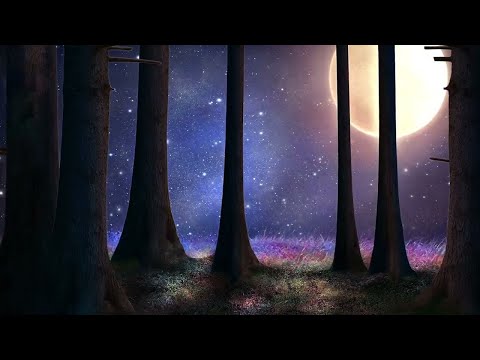 ? Sleep 24/7【100%無廣告 ,睡眠音樂】睡眠音樂 輕音樂 輕快 | 深度睡眠 | 睡眠轻音乐 放松 | 純音樂 輕快 安靜音樂 | 放鬆音樂 背景音乐 轻快 | 禪修音樂 心靈