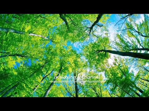 PIANO MUSIC 早上最適合聽的輕音樂 – 舒壓按摩音樂 – 治療音樂 – 純鋼琴輕音樂 – 轻松的钢琴音乐 ★ 616