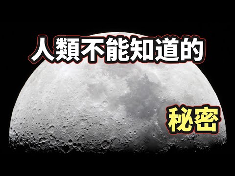 「月球起源」「美國登月」「外星人」「大洪水」你想知道的真相都在這裡!(2021)|【你可敢信 & Nic Believe】