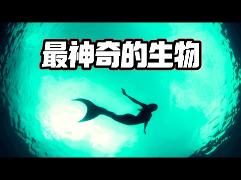 一個關於「人魚」不能說的終極秘密,原來「人魚的真相」竟然是這樣的!(2021)|【你可敢信 & Nic Believe】
