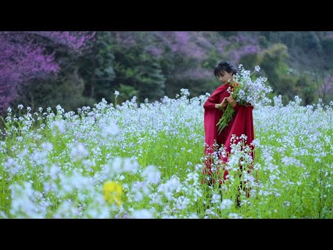 不能去人多的地方扎堆儿，赶在上巳节这天家门口春个游！Avoid crowds, and go spring outing nearby！丨Liziqi Channel