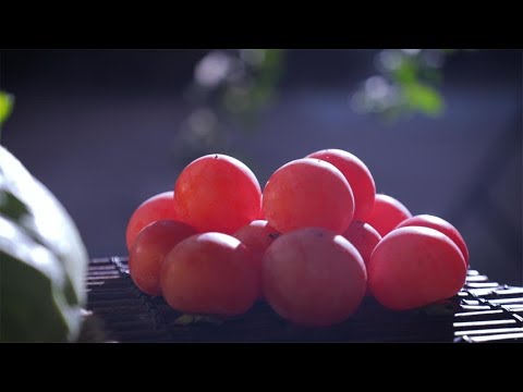 snow and hot pot, perfect match『我就问你，下雪天不吃火锅吃啥』 ▎Snowy days go well with hot pot❤