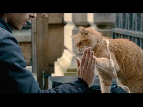 【宇哥】乞丐小伙捡到一只野猫带回收养，为报恩它竟帮小伙日赚万元《流浪猫鲍勃》【宇哥讲电影】