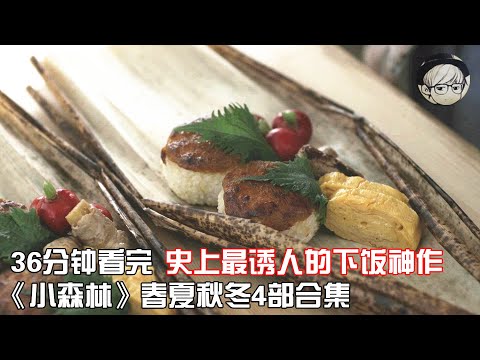 原来“李子柒”的成功源自这部电影！史上最诱人的下饭神作《小森林》4部合集【宇哥讲电影】