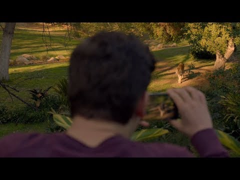 【宇哥】男子调戏动物园猛虎，老虎一气之下窜出围墙，完蛋……《紧急呼救08》【宇哥讲电影】