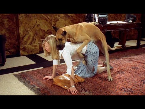 妹子被狗骑了三次，最后找到了属于自己的性福！电影《神魂颠倒》