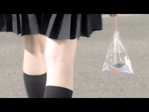 当妹子把金鱼提回家，可怕的事情就发生了！日本最新电影《散步的侵略者》