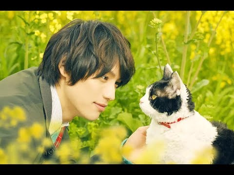 【分分妹】小哥痴迷吸猫无法自拔,一段令人感动落泪的人兽情