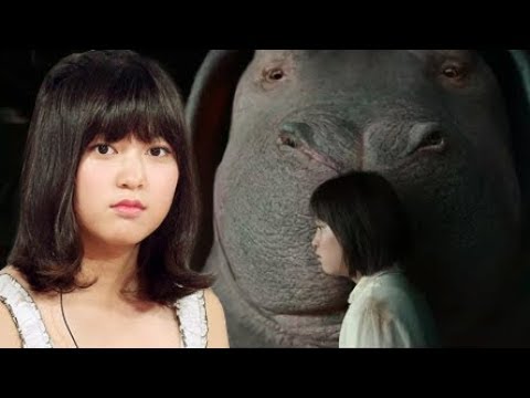 【分分妹】爱猪人士营救萝莉超级猪,崔永元反对的转基因食物成为人类未来的畅销品