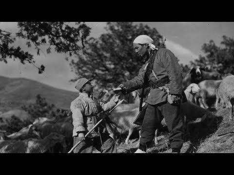 【来呀官人】第一部获得国际大奖的国产电影，拍摄于1954年，经典中的经典！