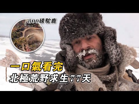 一口氣看完北極荒野求生77天，狩獵700公斤駝鹿，設陷阱抓野兔，編織刺網捕捉梭魚，堅持最久的選手獲得50萬美元！紀錄片