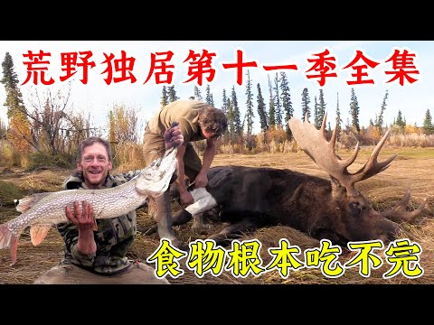 荒野獨居第十一季全集，史上最強的一季，狩獵到一頭鹿，幾百斤大魚，食物多到吃不完！紀錄片